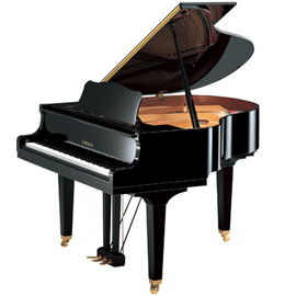 Дісклавір Yamaha DGB1KCD PM, image 